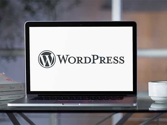 WordPress Entwicklung von YDESCO